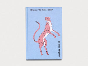 Brianda Dibujando - Antenne Books