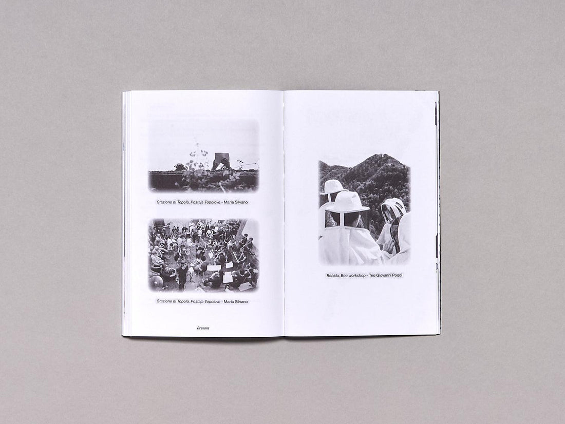 Dreams - Antenne Books