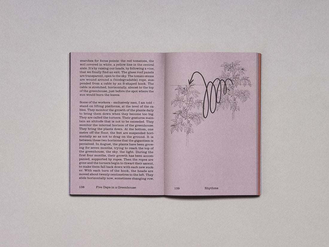 Seasonal Matters Rural Relations (ENG edition) - Antenne Books