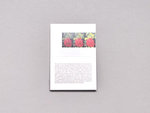 Tweaked Modernism - Antenne Books