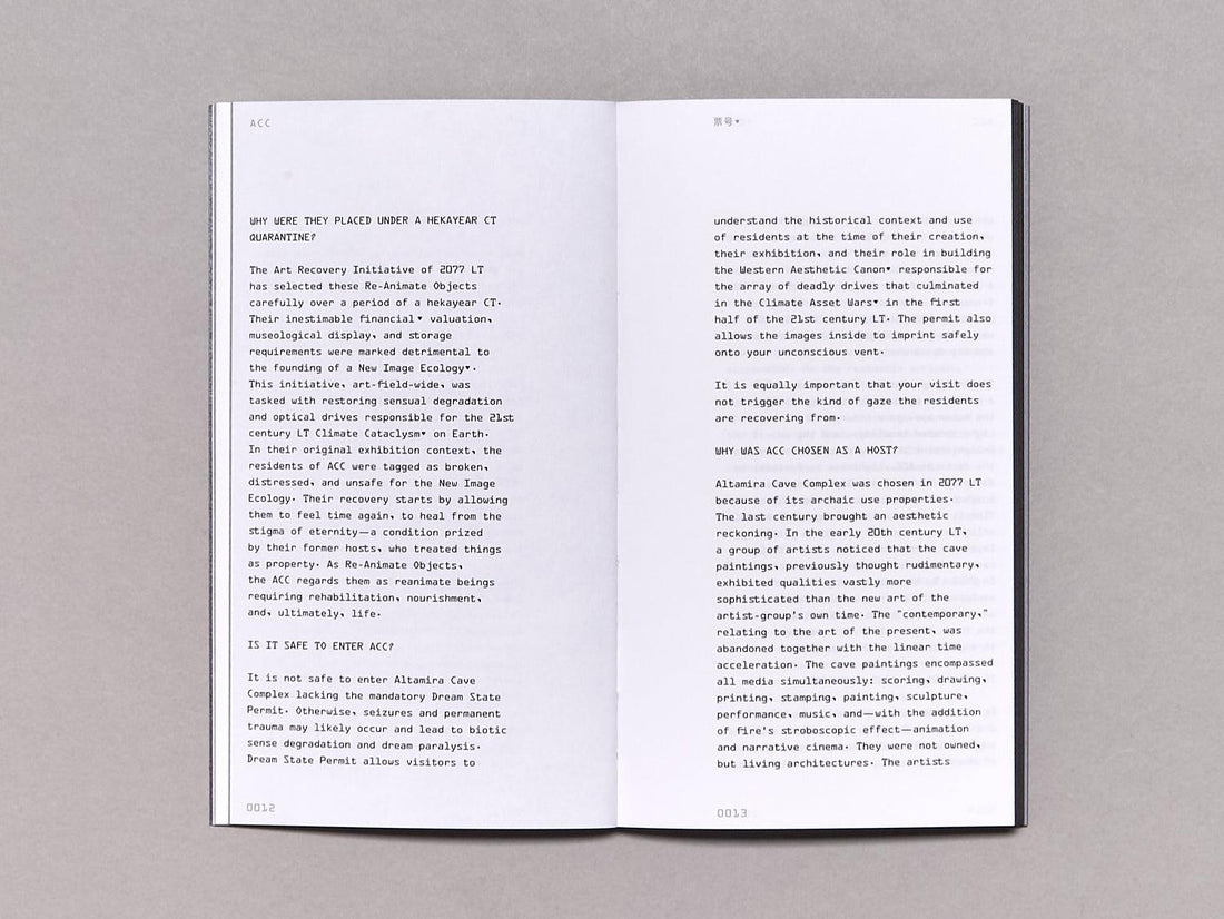 Dream State Code of Conduct ( Middle Income Level) - Antenne Books