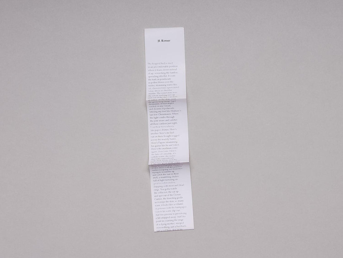 Taking 500,000 Photographs of a Dogwood Tree - Antenne Books