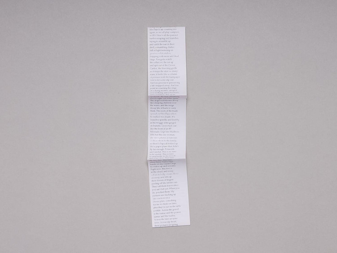 Taking 500,000 Photographs of a Dogwood Tree - Antenne Books