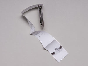 TO BE “IN THE MOUNTAINS” IS “A FLOWER OPENING WITHIN THE WORLD” - Antenne Books