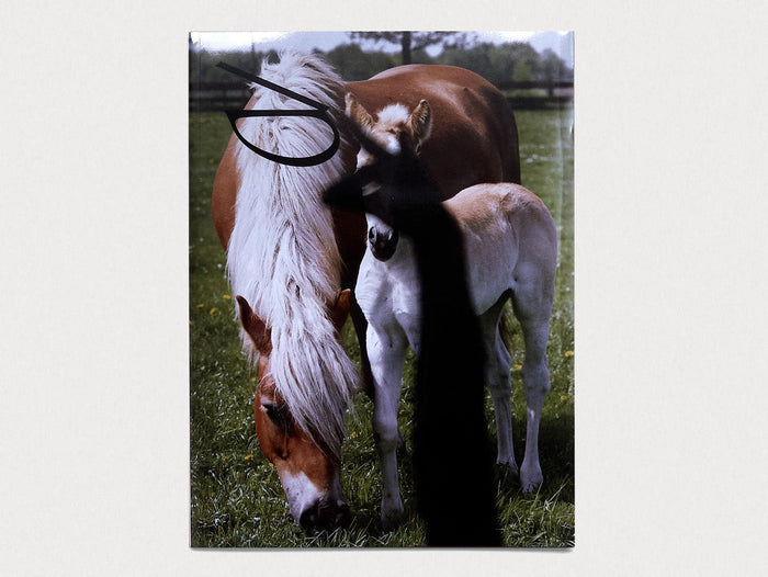 BILL Issue 5 - Antenne Books