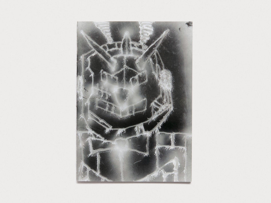 Everyday - Antenne Books