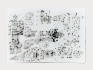 Everyday - Antenne Books