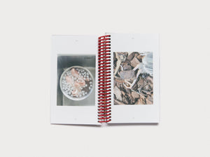 Immortal Tribes: Blazing across the Northern & Southern Skies - Antenne Books