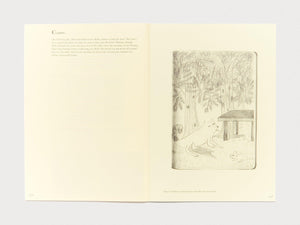 Stories of Wounds and Wonder - Antenne Books