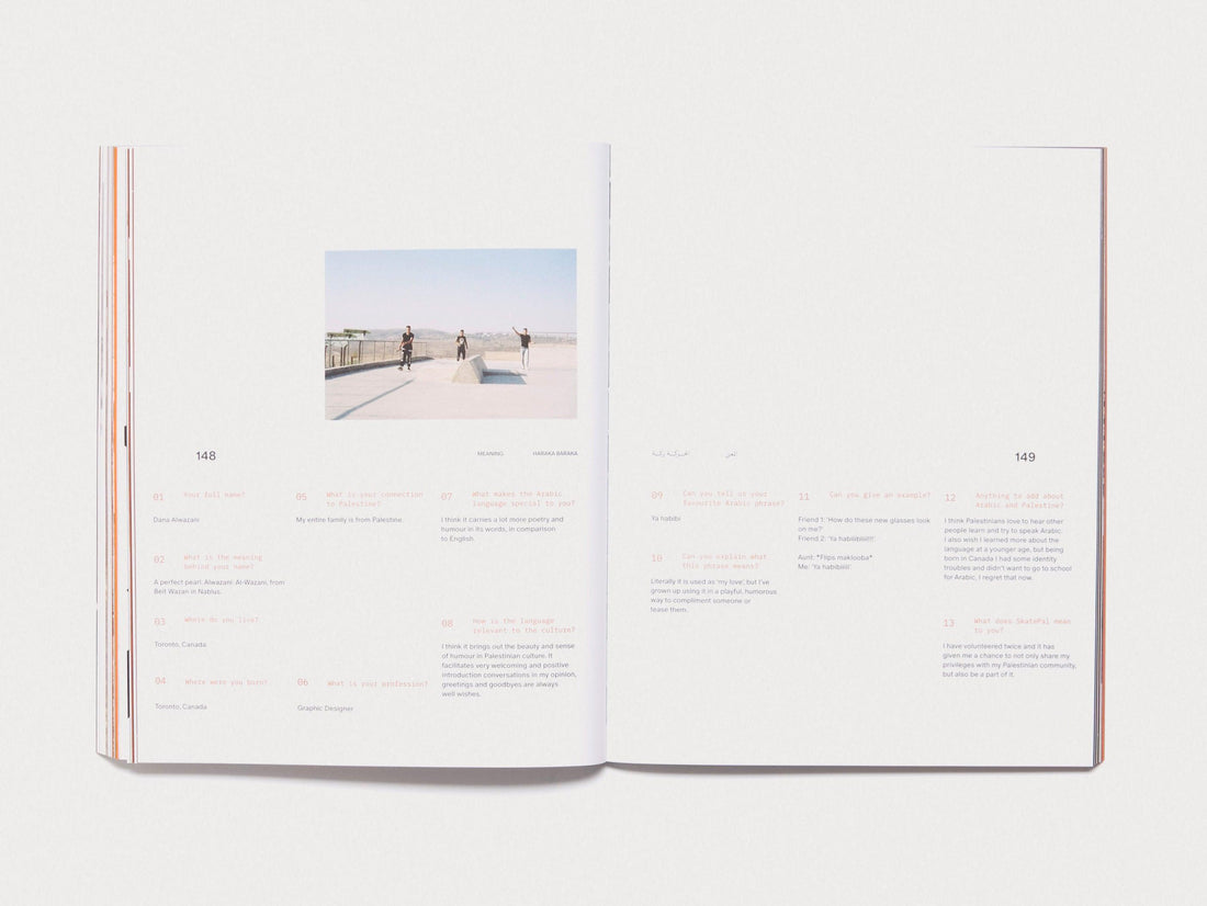 Haraka Baraka - Antenne Books