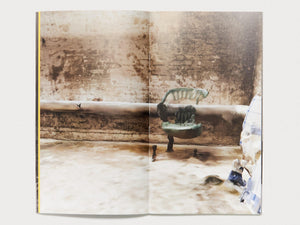 The Perfect Crime: Concerning the Murder of Reality - Antenne Books