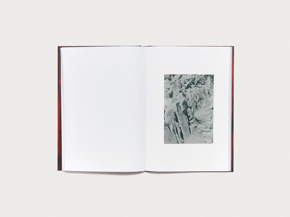 Noema - Antenne Books