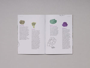 Rebel Roots Issue #4 - Antenne Books