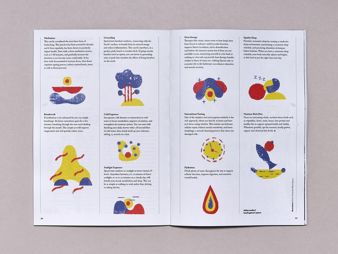 Wholetalk #5 - Embracing Longevity - Antenne Books