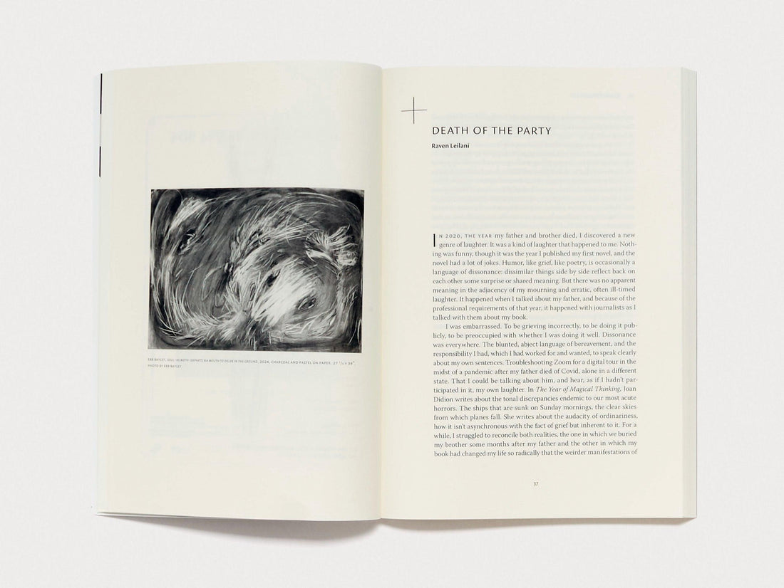 n+1 Issue 48: INSIDE JOB - Antenne Books