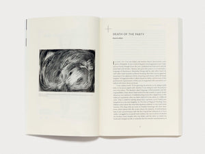 n+1 Issue 48: INSIDE JOB - Antenne Books