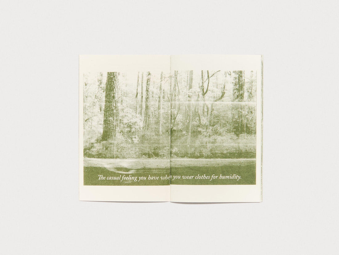 alligatorwatergreen - Antenne Books