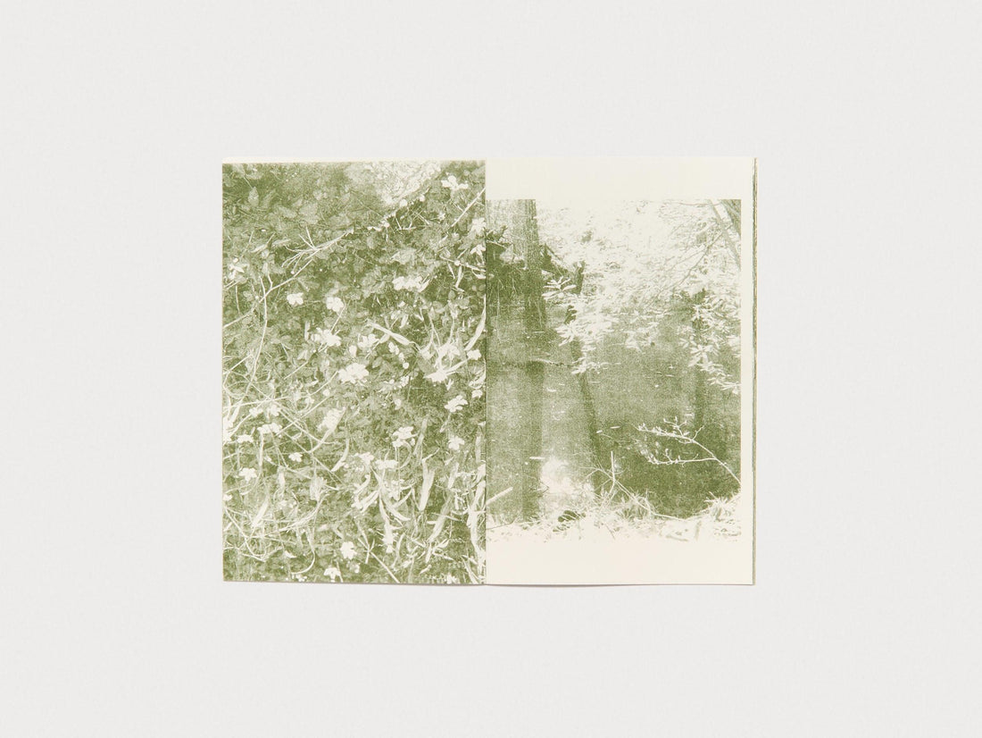 alligatorwatergreen - Antenne Books