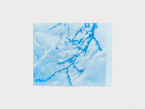 Cottonwood Prism - Antenne Books