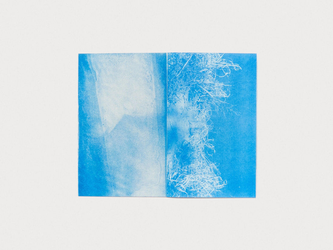 Cottonwood Prism - Antenne Books