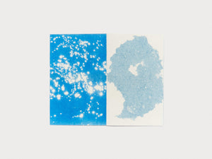 Cottonwood Prism - Antenne Books