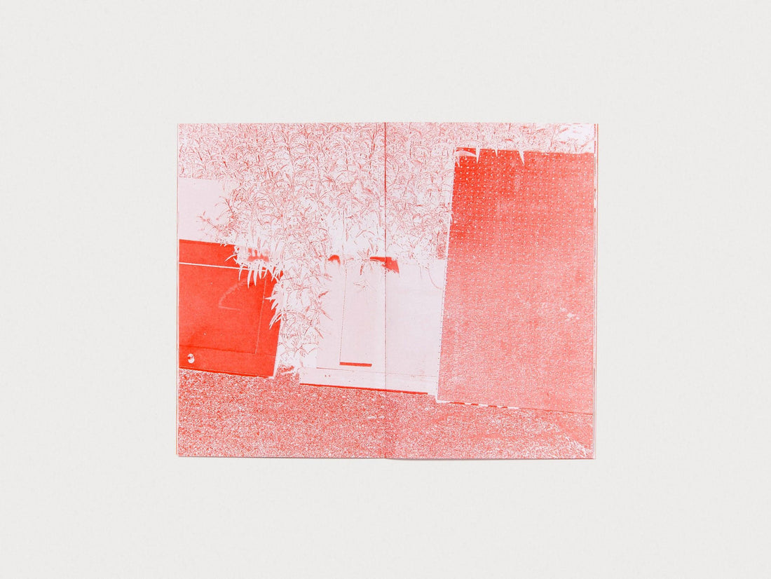 DREAM HOUSE - Antenne Books