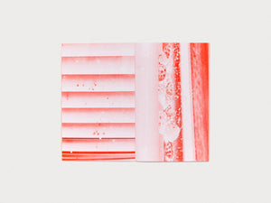 DREAM HOUSE - Antenne Books