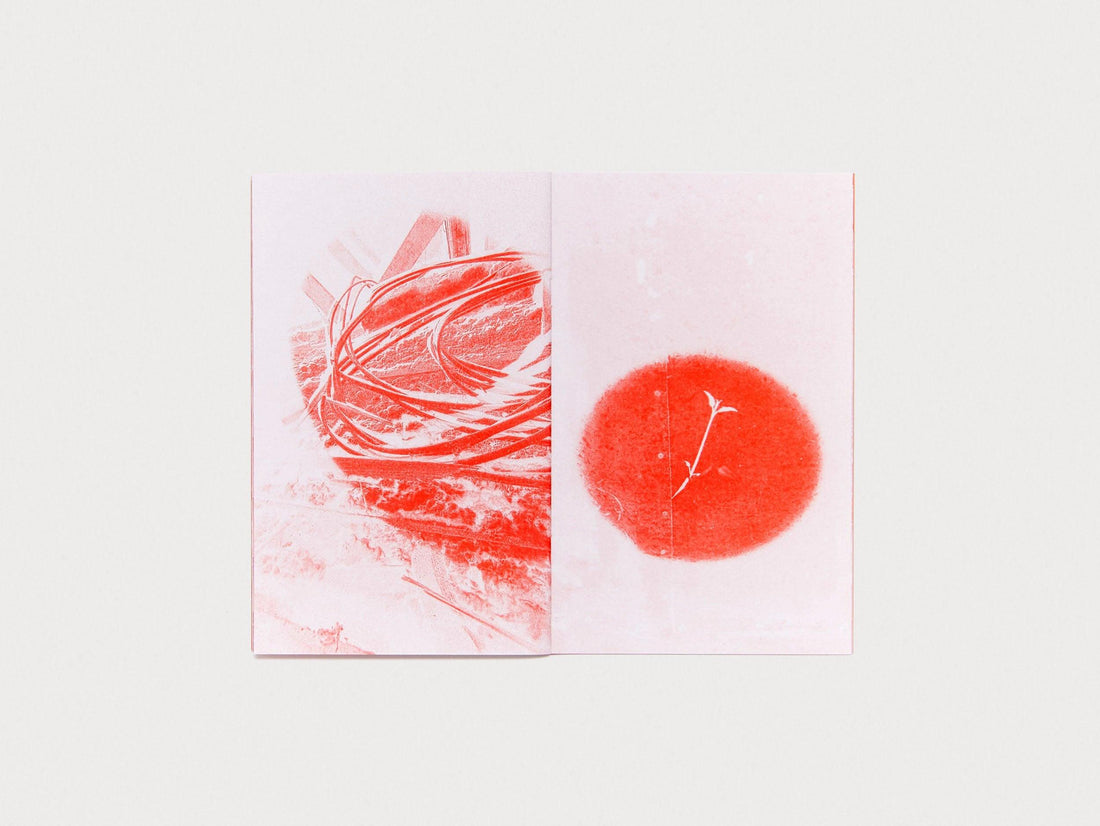 DREAM HOUSE - Antenne Books