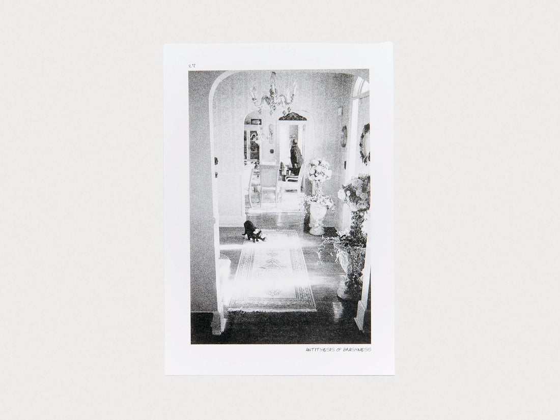 Foibles & Avoidance - Antenne Books