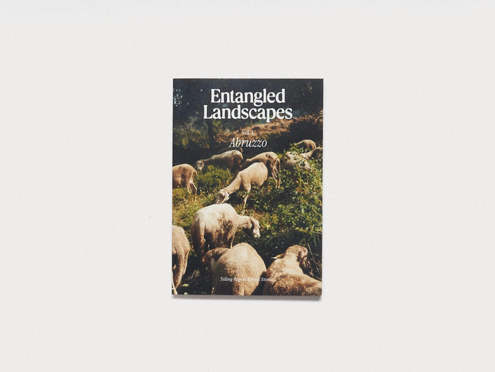 Entangled Landscapes Vol 1: Abruzzo - Antenne Books