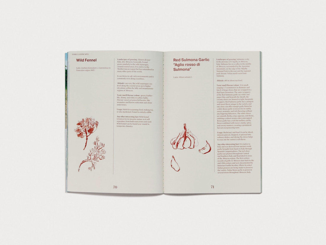 Entangled Landscapes Vol 1: Abruzzo - Antenne Books