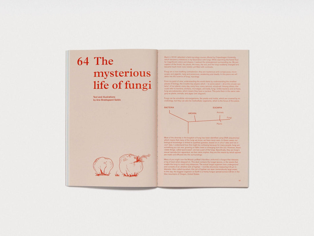 The Preserve Journal Issue no 5 - Antenne Books