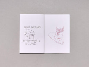 Cannes Dogs - Antenne Books