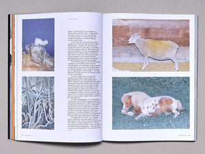 British Journal of Photography Issue 7919 - Antenne Books