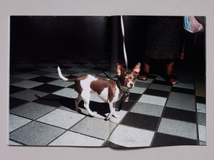 SNUFF MAGAZINE ISSUE 5 - Antenne Books