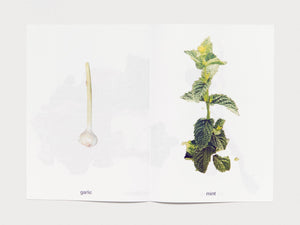 MY FRUITS MY VEGETABLES - Antenne Books