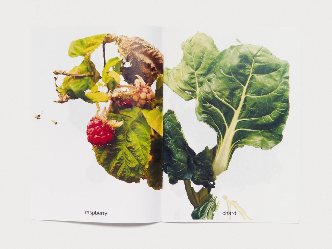 MY FRUITS MY VEGETABLES - Antenne Books