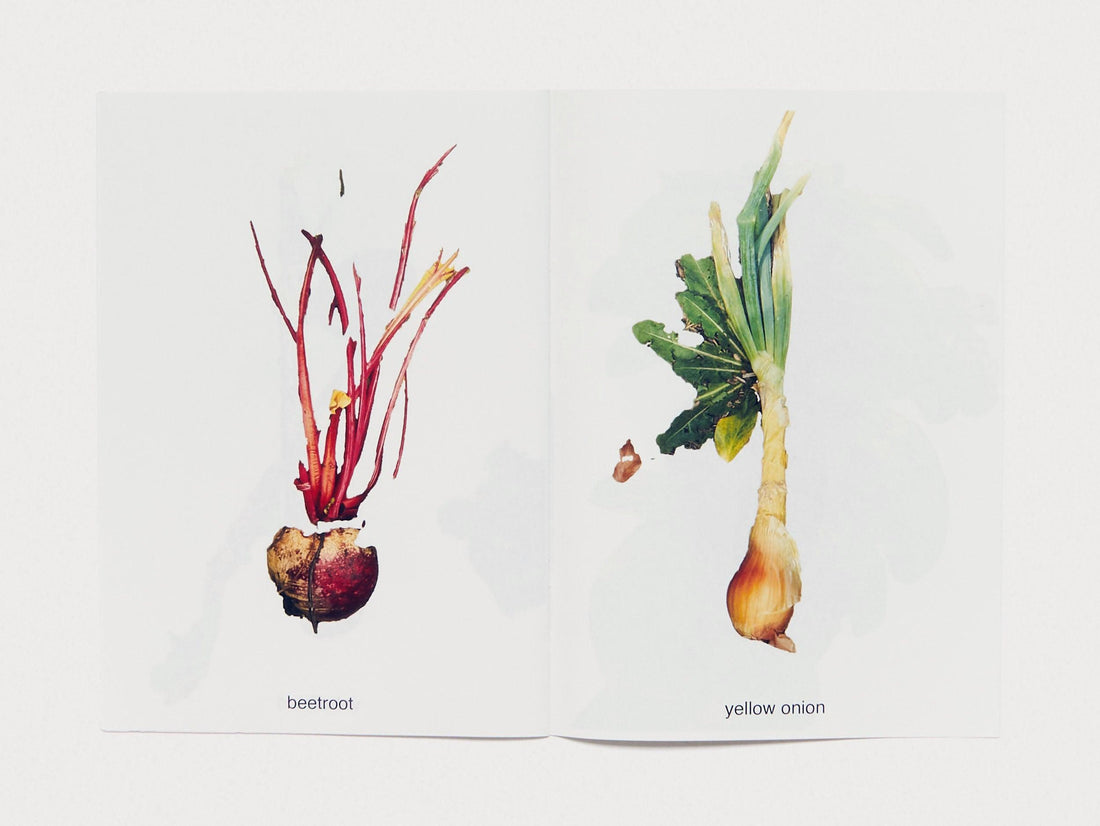 MY FRUITS MY VEGETABLES - Antenne Books