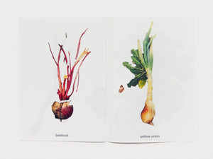 MY FRUITS MY VEGETABLES - Antenne Books