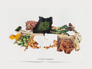 MY FRUITS MY VEGETABLES - Antenne Books