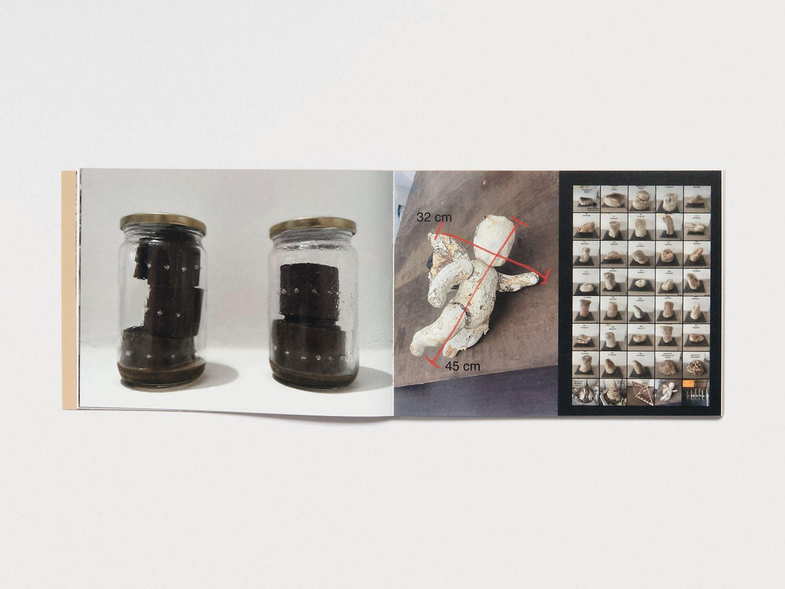 Dafne Phono - Antenne Books