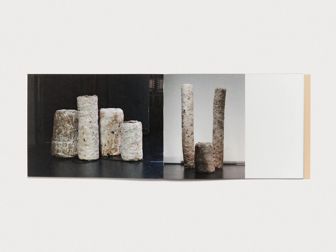 Dafne Phono - Antenne Books