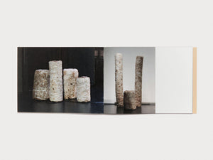 Dafne Phono - Antenne Books