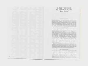 Heavy Traffic 5 - Antenne Books