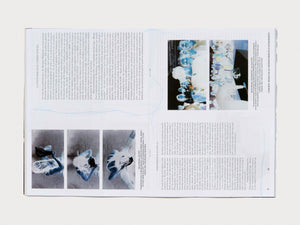 P L S #38 – ancestries - Antenne Books