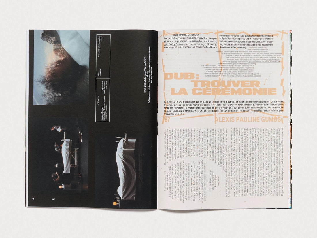 P L S #38 – ancestries - Antenne Books