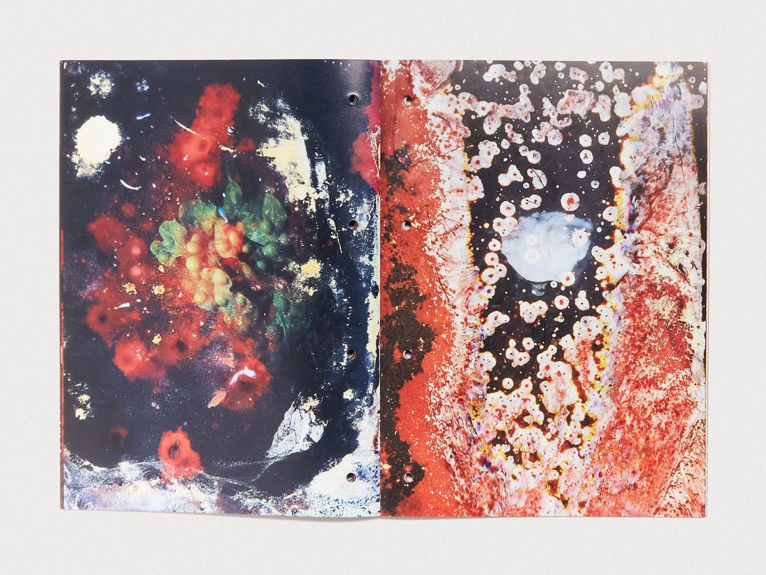 Red Bloom - Antenne Books