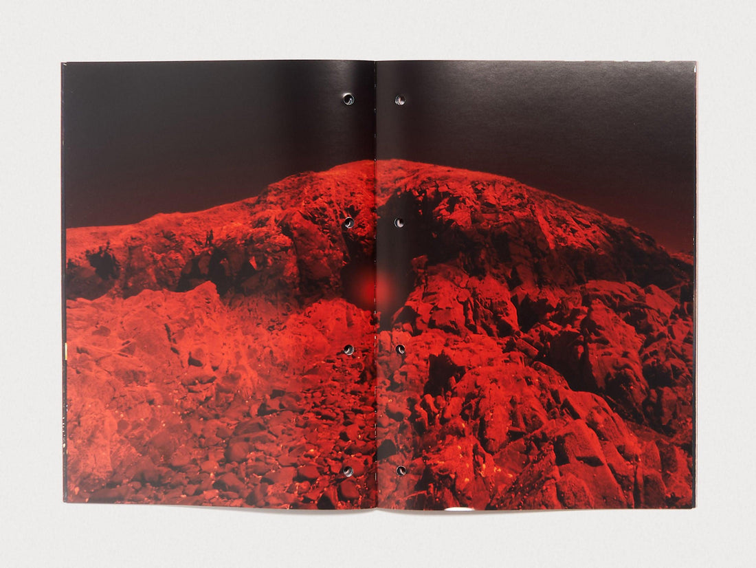 Red Bloom - Antenne Books