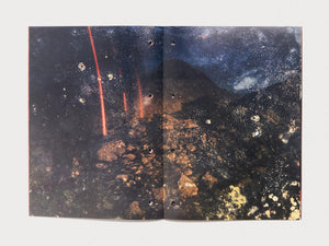 Red Bloom - Antenne Books