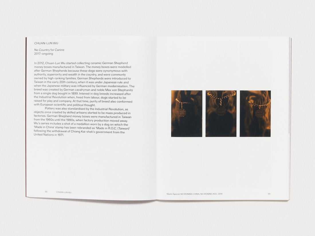 Multi Multi - Photoworks Annual #31 - Antenne Books